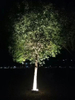 IP65 Outdoor Garden Lighting 6W 8W 12W Decoration Tree Light