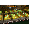 Full Colorful 24W Hot Selling LED Stage Lighting